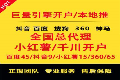 SEM服务优势案例分享